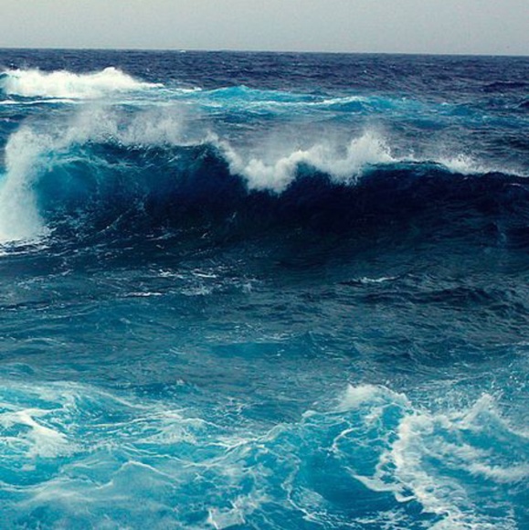 PBX  PRO - Shorts - Mens - Picture 2 of 8